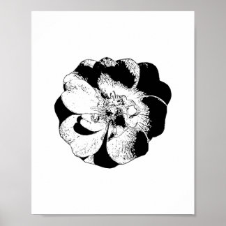 Minimalistisches Schwarz-Weiß-Blumenposter Poster