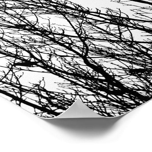 Minimalistisches Schwarz-Weiß-Foto von Vögeln in B Poster (Ecke)