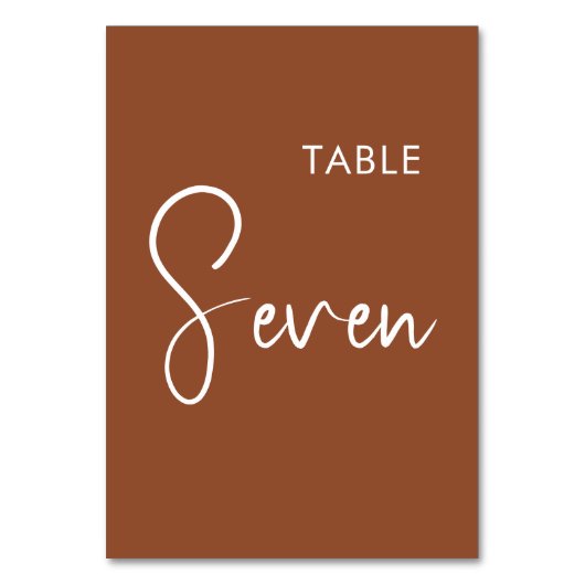 Minimalistisches Terrakotta, elegantes Tischnummer (Vorderseite)