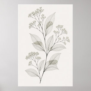 Minimalistisches Wohnzimmer Botanische Ader Illust Poster