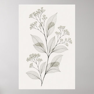 Minimalistisches Wohnzimmer Botanische Ader Illust Poster