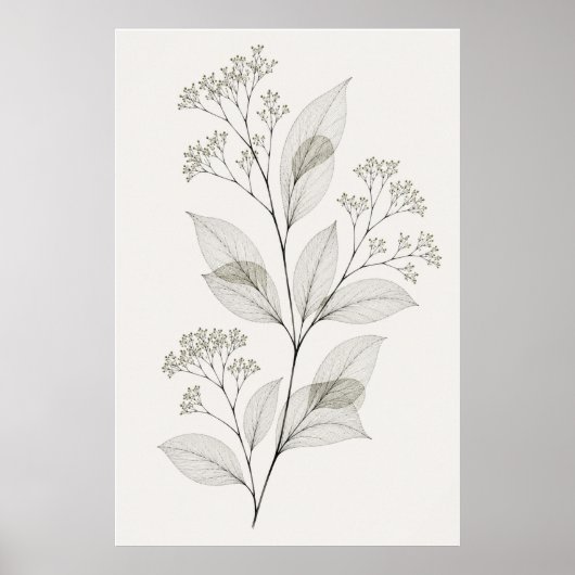 Minimalistisches Wohnzimmer Botanische Ader Illust Poster (Vorne)