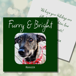 Minimimalis Green Pet Foto Weihnachtskarte Feiertagskarte