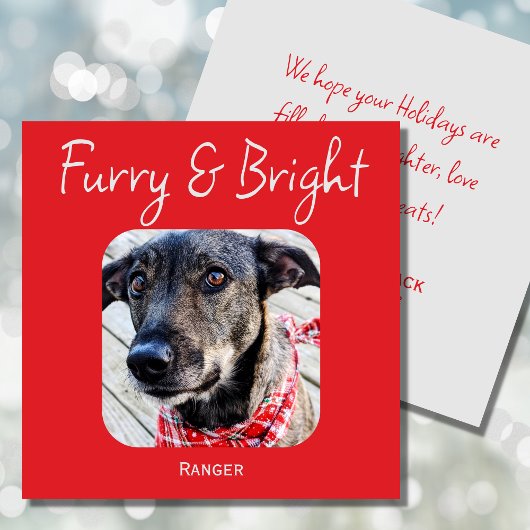 Minimimalismus Pet Foto Weihnachtskarte Feiertagskarte