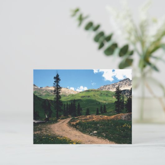 Minin in Yankee Boy Basin, Colorado Postkarte (Stehend Vorderseite)