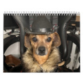 Minionwelt Kalender (Titelbild)