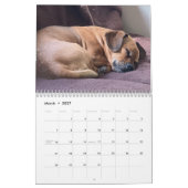 Minionwelt Kalender (Mär 2027)