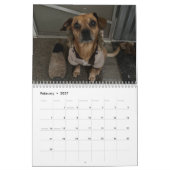Minionwelt Kalender (Feb 2027)