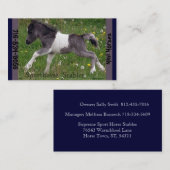 Minipferd Visitenkarte (Vorne/Hinten)