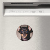Minipinscher. Magnet (In Situ (Geschirrspüler))