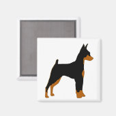 Minipinscher-Schwarz-Rost-Silhouette Magnet (Vorderseite/Rückseite)