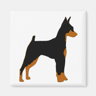 Minipinscher-Schwarz-Rost-Silhouette Magnet
