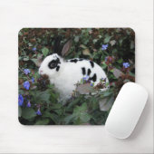 MiniRex Häschen mousepad (Mit Mouse)