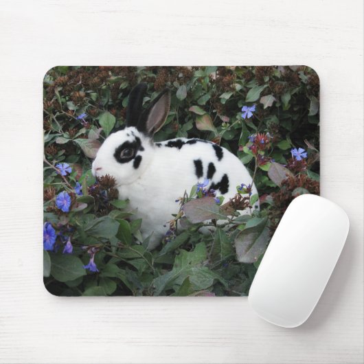 MiniRex Häschen mousepad (Mit Mouse)