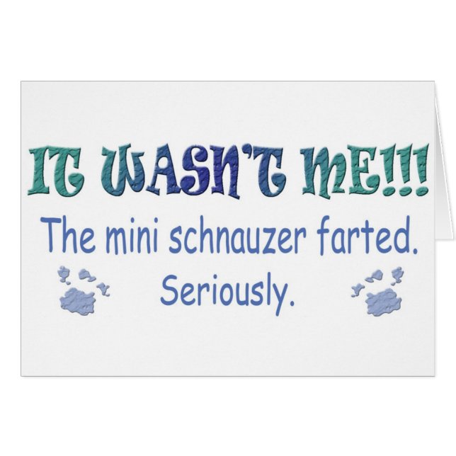 MiniSchnauzer (Vorderseite (Horizontal))