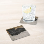 Minischnauzerwelpe Rechteckiger Pappuntersetzer (Vor Ort)