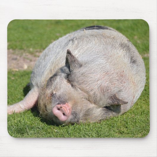 Minischwein schlafen auf Gras Mousepad (Vorne)