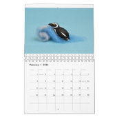 Ministeve Menagerie-Kalender Kalender (Feb 2026)