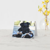 Minitour Schnauzer Note Card #5 - leer Karte (Gelbe Blume)