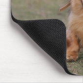 Miniture Dackel-Betrieb Mousepad (Ecke)