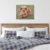 Miniture-Dackel läuft Leinwanddruck (Insitu (Schlafzimmer))