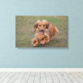 Miniture-Dackel läuft Leinwanddruck (Insitu (Holzboden))