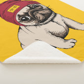 Miniwelpen-Hipster-Mops Sherpadecke (3/4)