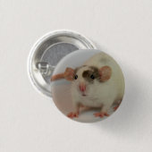 Mink dumbo Rat Button (Vorne & Hinten)