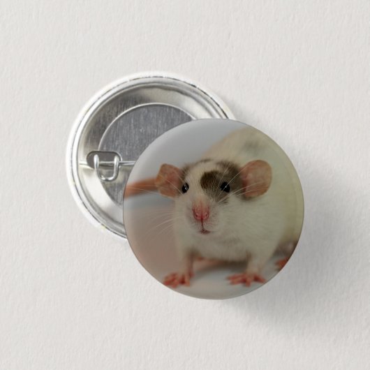 Mink dumbo Rat Button (Vorne & Hinten)