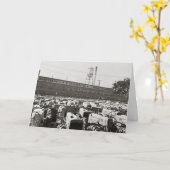 Minneapolis-Moline Traktoren: 1939 Karte (Gelbe Blume)