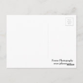 Minneapolis Skyline und Brücken Postkarte (Rückseite)