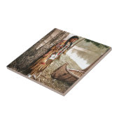 Minnehaha 1897 gebürtiger Amerikaner Hiawatha Fliese (Seite)