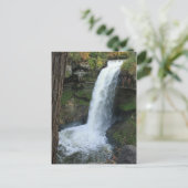 Minnehaha Falls Postkarte (Stehend Vorderseite)