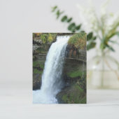 Minnehaha Falls Postkarte (Stehend Vorderseite)