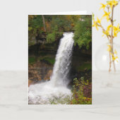 Minnehaha fällt in Herbst Karte (Gelbe Blume)