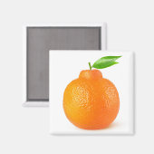 Minneola tangelo citrus frucht magnet (Vorderseite/Rückseite)