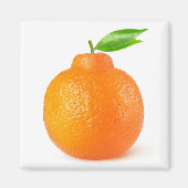 Minneola tangelo citrus frucht magnet (Vorne)