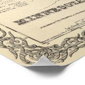 Minnesota 2 poster (Ecke)