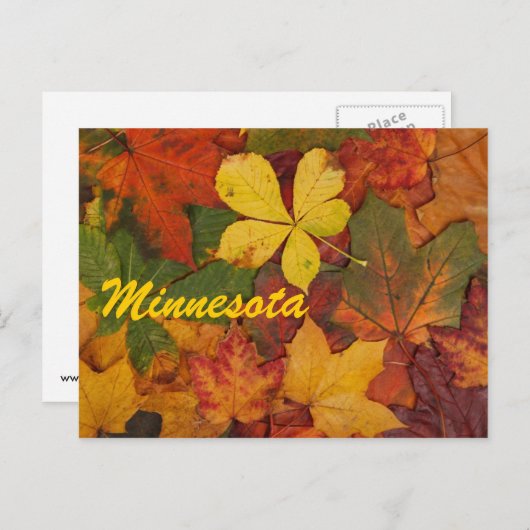 Minnesota Autumn Leaves Postcard Postkarte (Vorne/Hinten)