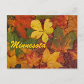 Minnesota Autumn Leaves Postcard Postkarte (Vorderseite)