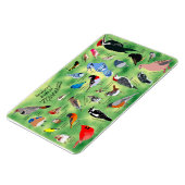 Minnesota Birds Flexible Photo Magnet (Linke Seite)