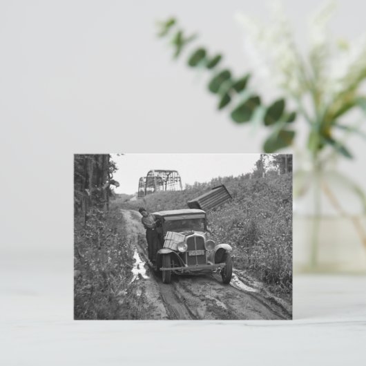 Minnesota Blueberry Pickers, 1937 Postkarte (Stehend Vorderseite)