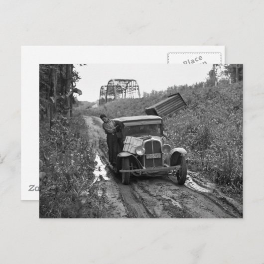 Minnesota Blueberry Pickers, 1937 Postkarte (Vorne/Hinten)