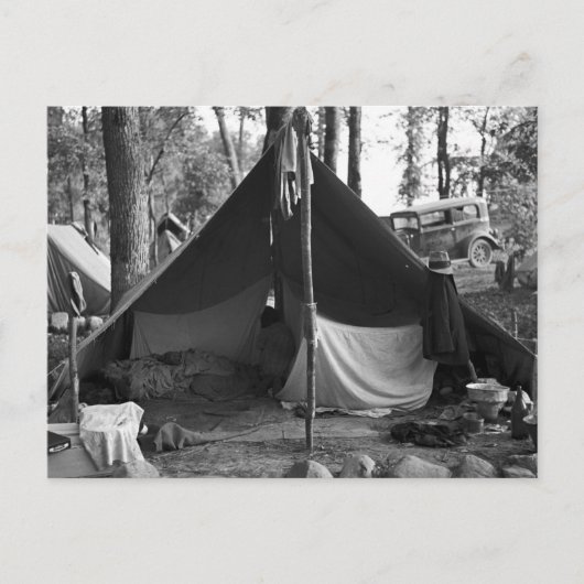 Minnesota Blueberry Pickers, 1937 Postkarte (Vorderseite)