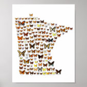 Minnesota Butterflies Poster (Vorne)
