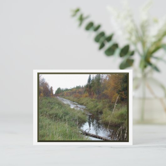 Minnesota Creek/Herbst Postkarte (Stehend Vorderseite)
