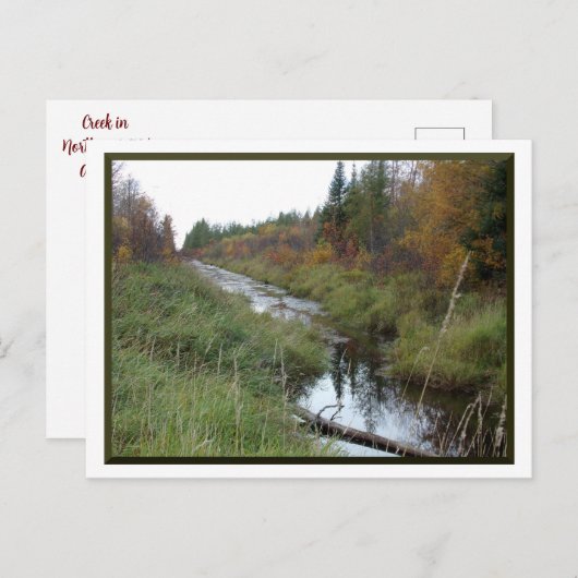 Minnesota Creek/Herbst Postkarte (Vorne/Hinten)