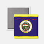 Minnesota Flag Magnet (Vorderseite/Rückseite)