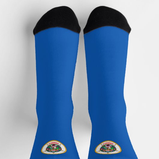 Minnesota-Flagge Socken (Oben)