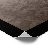 Minnesota House Reps Foto 1901 Poster (Ecke)